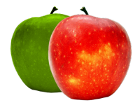 FUJI APFEL(Apfel) Flavour Art