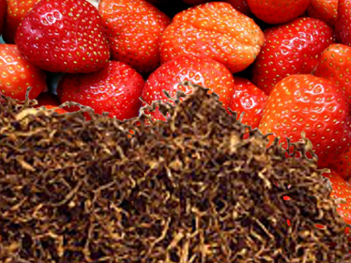 Tabak/Frucht, Blend American/Erdbeere